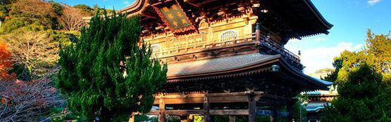 Chương Trình Du Lịch Nhật Bản (06 Ngày / 05 Đêm) - Osaka – Nara – Nagoya – Núi Phú Sĩ – Tokyo